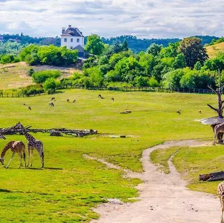 Lovely Apartment, Garden, Parking, Wifi, Netflix Praga